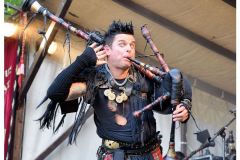 corvus_corax_10_20140901_1499494157