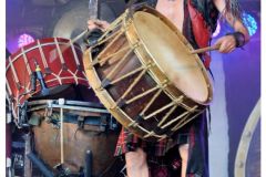 corvus_corax_12_20140901_1570060604