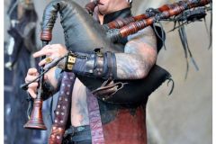 corvus_corax_1_20140901_1643701228
