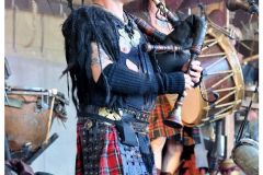 corvus_corax_24_20140901_1007788038