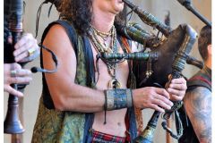 corvus_corax_25_20140901_1469570636
