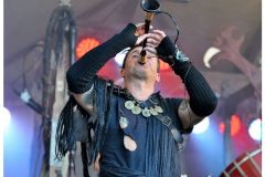 corvus_corax_31_20140901_2053894590