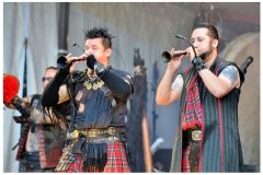 corvus_corax_34_20140901_1483118188