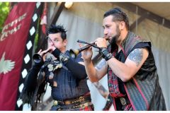 corvus_corax_6_20140901_1447087345