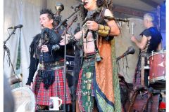 corvus_corax_9_20140901_1130911621