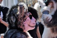 hanami_2016_26_20160511_1891245109