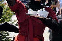 hanami_2016_27_20160511_1548081829