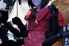 hanami_2016_31_20160511_1808936017