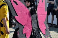 hanami_2016_91_20160511_1570439458