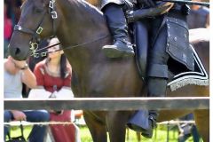 sonstiges_13_20140902_1461280910