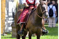 sonstiges_15_20140902_1282723309