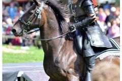 sonstiges_18_20140902_1729132215