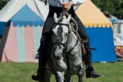 mps_speyer_2015_98_20150901_1065881998