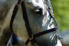 mps_speyer_2015_99_20150901_1771413884