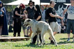 mps_speyer_2016_150_20160830_1504187108