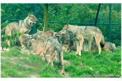 dierenrik_2011_20111009_1080143083