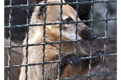 impressionen_aus_dem_tierpark_in_worms_20110608_1901352219