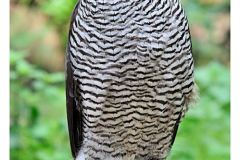 tierpark_20100926_1552181194