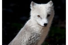 tierpark_worms_september_2011_20111009_1176552520